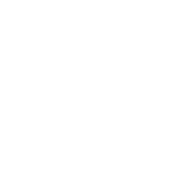 symphony of the sea